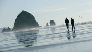 webassets/HaystackRock.jpg
