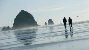 webassets/HaystackRock.jpg